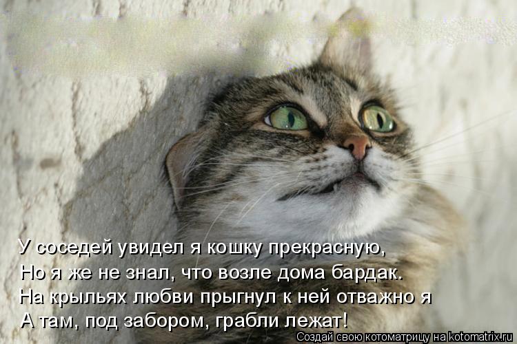 У соседей увидел я кошку прекрасную, Но я же не знал, что возле дома бардак. На крыльях любви прыгнул... Котоматрица: У соседей увидел я кошку прекрасную, Но я же не знал, что возле дома бардак. На крыльях любви прыгнул к ней отважно я А там, под забором, грабл