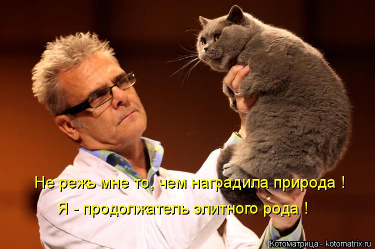 Не режь мне то, чем наградила природа ! Я - продолжатель элитного рода !... Котоматрица: Не режь мне то, чем наградила природа ! Я - продолжатель элитного рода !