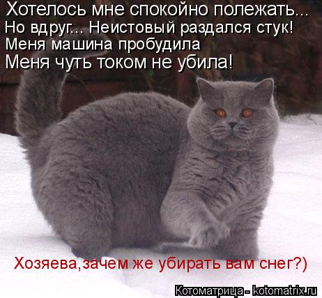 Но вдруг... Неистовый раздался стук! Меня машина пробудила Хотелось мне спокойно полежать... Меня чу... Котоматрица: Но вдруг... Неистовый раздался стук! Меня машина пробудила Хотелось мне спокойно полежать... Меня чуть током не убила! Хозяева,зачем же убира