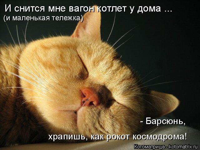 И снится мне вагон котлет у дома ... (и маленькая тележка) - Барсюнь, храпишь, как рокот космодрома... Котоматрица: И снится мне вагон котлет у дома ... (и маленькая тележка) - Барсюнь, храпишь, как рокот космодрома!