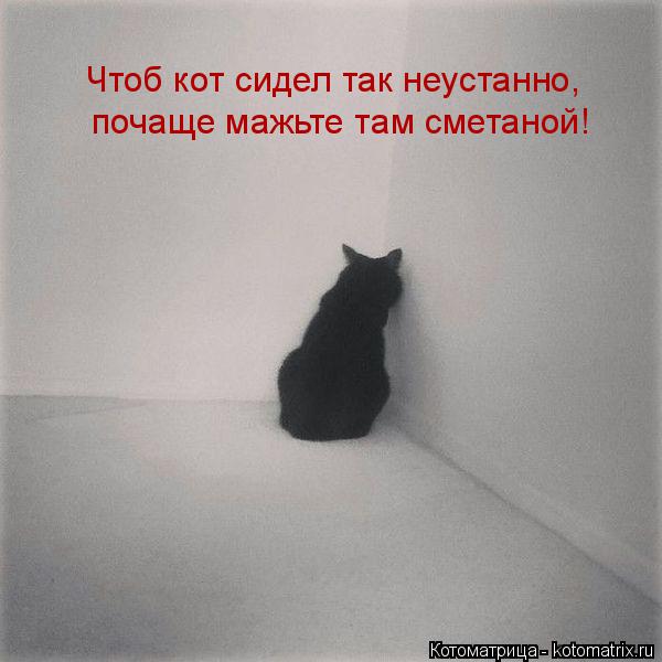 Чтоб кот сидел так неустанно, почаще мажьте там сметаной!... Котоматрица: Чтоб кот сидел так неустанно, почаще мажьте там сметаной!