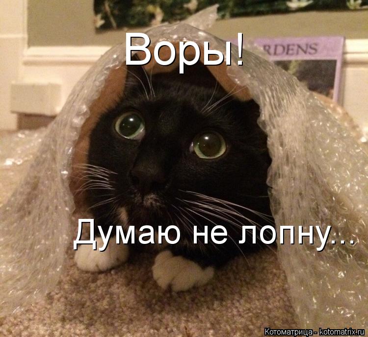 Воры! Думаю не лопну...... Котоматрица: Воры! Думаю не лопну...