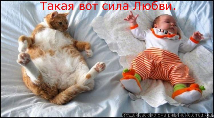 Такая вот сила Любви.... Котоматрица: Такая вот сила Любви.