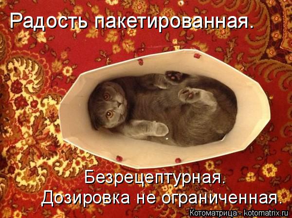 Радость пакетированная. Дозировка не ограниченная. Безрецептурная.... Котоматрица: Радость пакетированная. Дозировка не ограниченная. Безрецептурная.