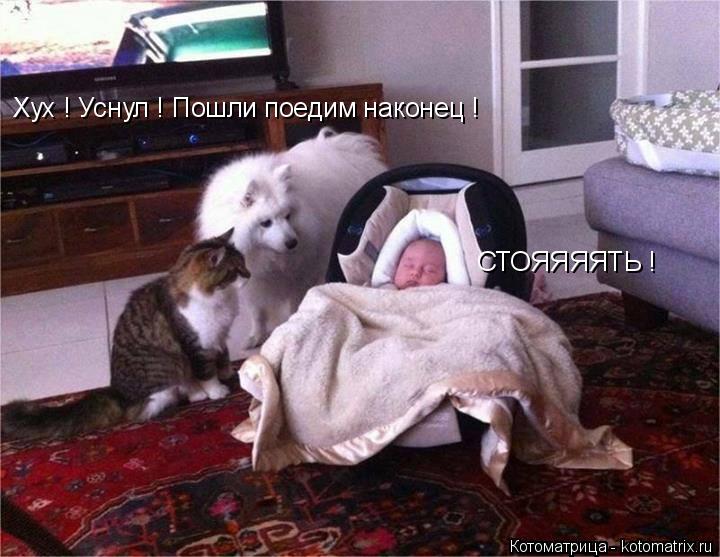 Хух ! Уснул ! Пошли поедим наконец ! СТОЯЯЯЯТЬ !... Котоматрица: Хух ! Уснул ! Пошли поедим наконец ! СТОЯЯЯЯТЬ !
