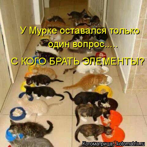 У Мурке оставался только один вопрос..... С КОГО БРАТЬ ЭЛЕМЕНТЫ?... Котоматрица: У Мурке оставался только один вопрос..... С КОГО БРАТЬ ЭЛЕМЕНТЫ?