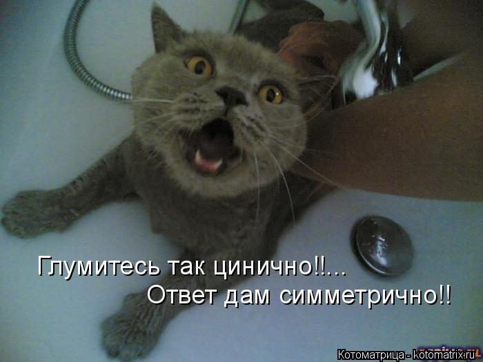 Глумитесь так цинично!!... Ответ дам симметрично!!... Котоматрица: Глумитесь так цинично!!... Ответ дам симметрично!!