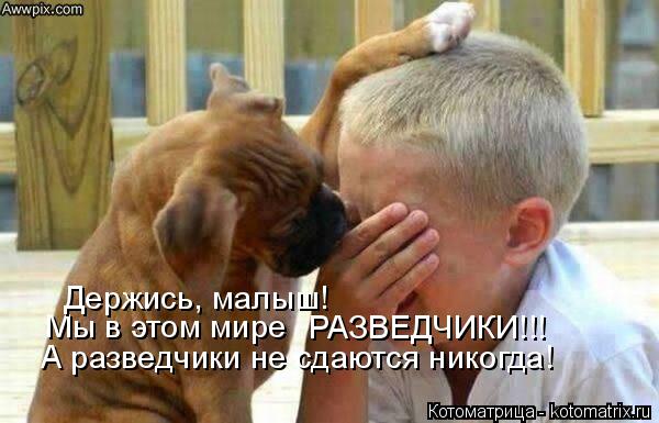 Мы в этом мире Держись, малыш! РАЗВЕДЧИКИ!!! А разведчики не сдаются никогда!... Котоматрица: Мы в этом мире Держись, малыш! РАЗВЕДЧИКИ!!! А разведчики не сдаются никогда!