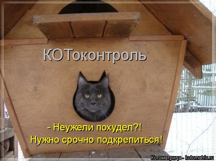 КОТоконтроль - Неужели похудел?! Нужно срочно подкрепиться!... Котоматрица: КОТоконтроль - Неужели похудел?! Нужно срочно подкрепиться!