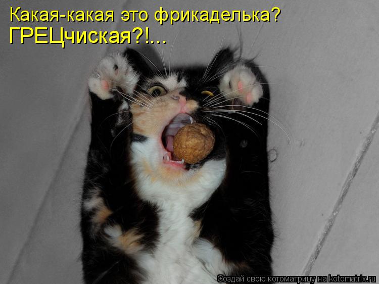 Какая-какая это фрикаделька? ГРЕЦчиская?!...... Котоматрица: Какая-какая это фрикаделька? ГРЕЦчиская?!...