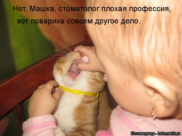 Нет, Машка, стоматолог плохая профессия, вот повариха совсем другое дело.... Котоматрица: Нет, Машка, стоматолог плохая профессия, вот повариха совсем другое дело.