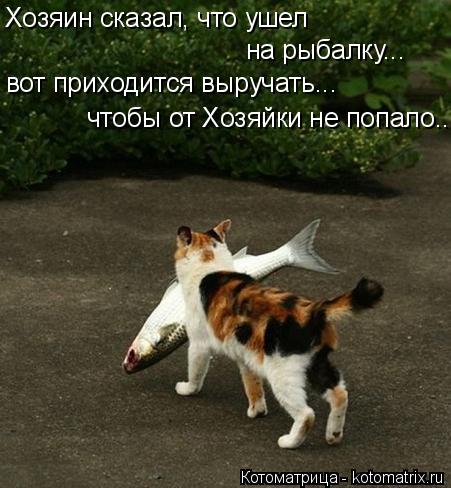 Хозяин сказал, что ушел на рыбалку... вот приходится выручать... чтобы от Хозяйки не попало...... Котоматрица: Хозяин сказал, что ушел на рыбалку... вот приходится выручать... чтобы от Хозяйки не попало...