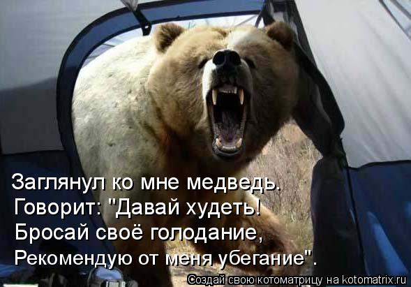 Котоматрица: Заглянул ко мне медведь. Говорит: "Давай худеть! Бросай своё голодание, Рекомендую от меня убегание".