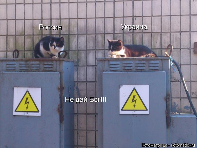 Россия Украина Не дай Бог!!!... Котоматрица: Россия Украина Не дай Бог!!!