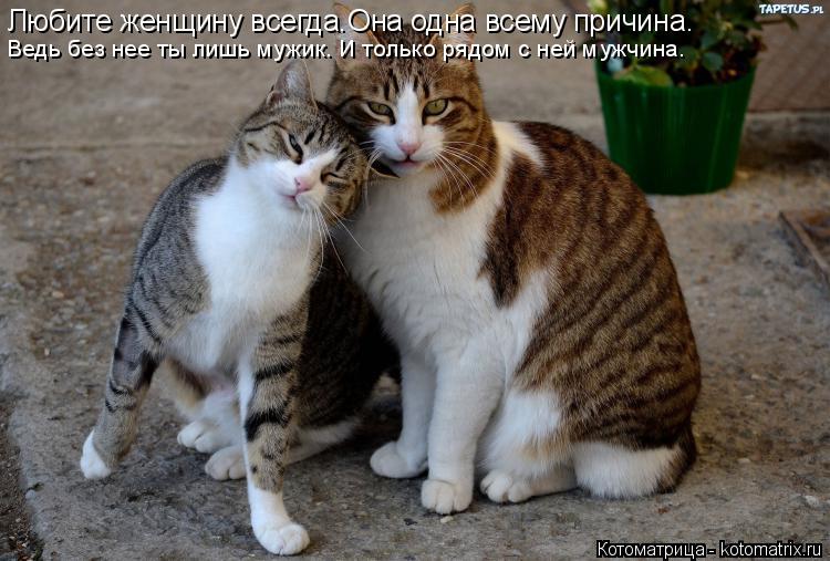 Любите женщину всегда.Она одна всему причина. Ведь без нее ты лишь мужик. И только рядом с ней мужчин... Котоматрица: Любите женщину всегда.Она одна всему причина. Ведь без нее ты лишь мужик. И только рядом с ней мужчина.