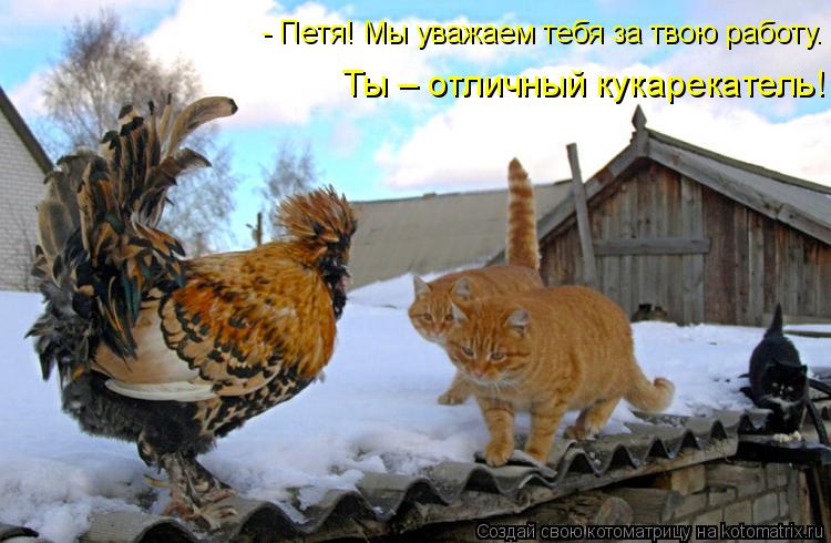 Ты – отличный кукарекатель! - Петя! Мы уважаем тебя за твою работу.... Котоматрица: Ты – отличный кукарекатель! - Петя! Мы уважаем тебя за твою работу.