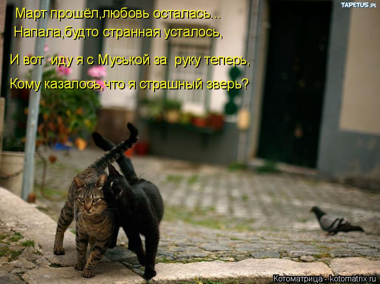 Котоматрица: Март прошёл,любовь осталась... Напала,будто странная усталось, И вот  иду я с Муськой за  руку теперь, Кому казалось,что я страшный зверь?