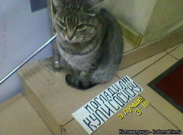Котоматрица: а лучше 3 !!!