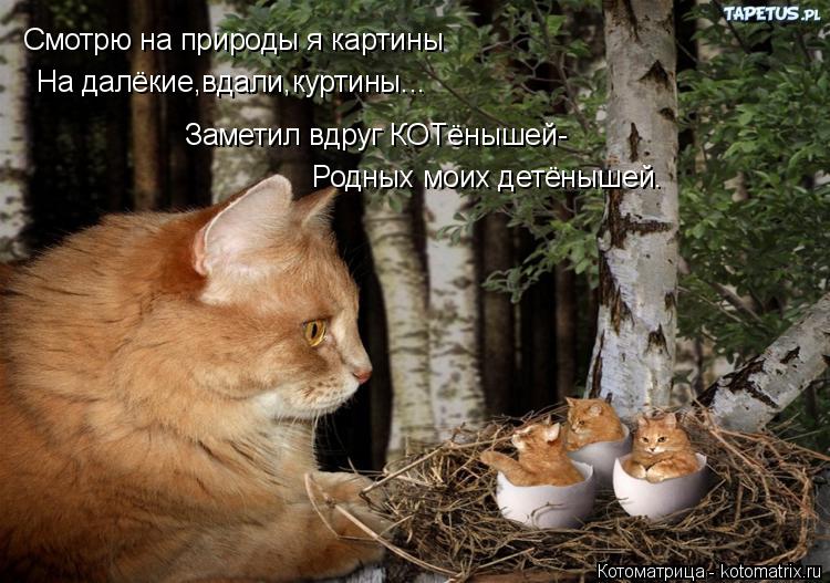 Котоматрица: Смотрю на природы я картины На далёкие,вдали,куртины... Заметил вдруг КОТёнышей- Родных моих детёнышей.