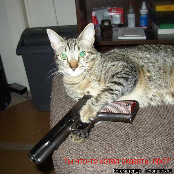 Котоматрица: Ты что-то хотел сказать, пёс?