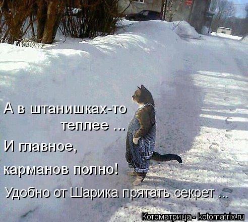 Котоматрица: А в штанишках-то  теплее ... И главное,  карманов полно! Удобно от Шарика прятать секрет ...