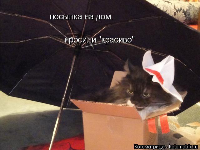 Котоматрица: посылка на дом. просили "красиво"