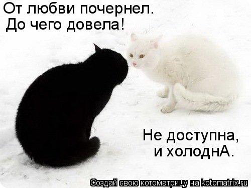 От любви почернел. До чего довела! Не доступна, и холоднА.... Котоматрица: От любви почернел. До чего довела! Не доступна, и холоднА.
