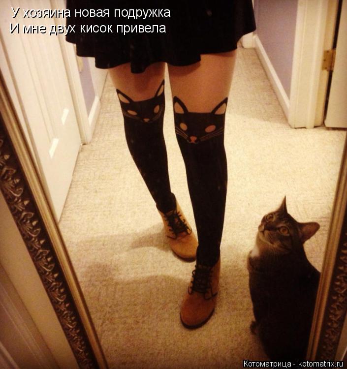 Котоматрица: У хозяина новая подружка И мне двух кисок привела
