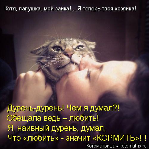 Дурень-дурень! Чем я думал?! Обещала ведь – любить! Котя, лапушка, мой зайка!... Я теперь твоя хозя... Котоматрица: Дурень-дурень! Чем я думал?! Обещала ведь – любить! Котя, лапушка, мой зайка!... Я теперь твоя хозяйка! Я, наивный дурень, думал, Что «любить» -