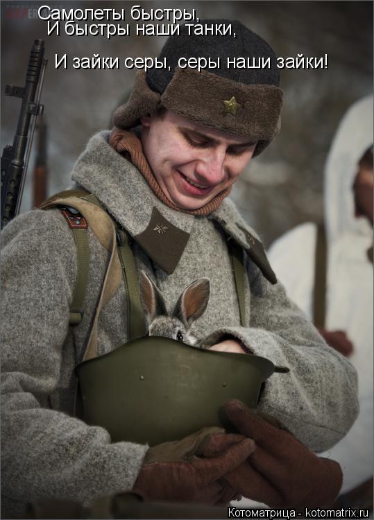 Самолеты быстры, И быстры наши танки, И зайки серы, серы наши зайки!... Котоматрица: Самолеты быстры, И быстры наши танки, И зайки серы, серы наши зайки!