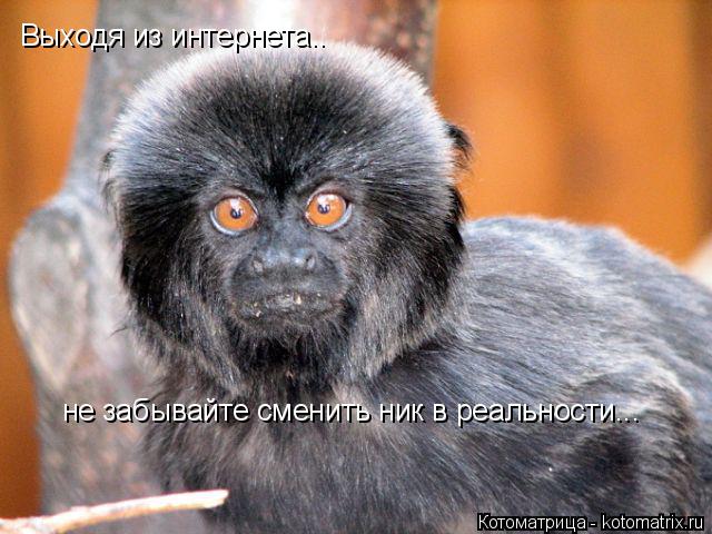 Выходя из интернета.. не забывайте сменить ник в реальности...... Котоматрица: Выходя из интернета.. не забывайте сменить ник в реальности...