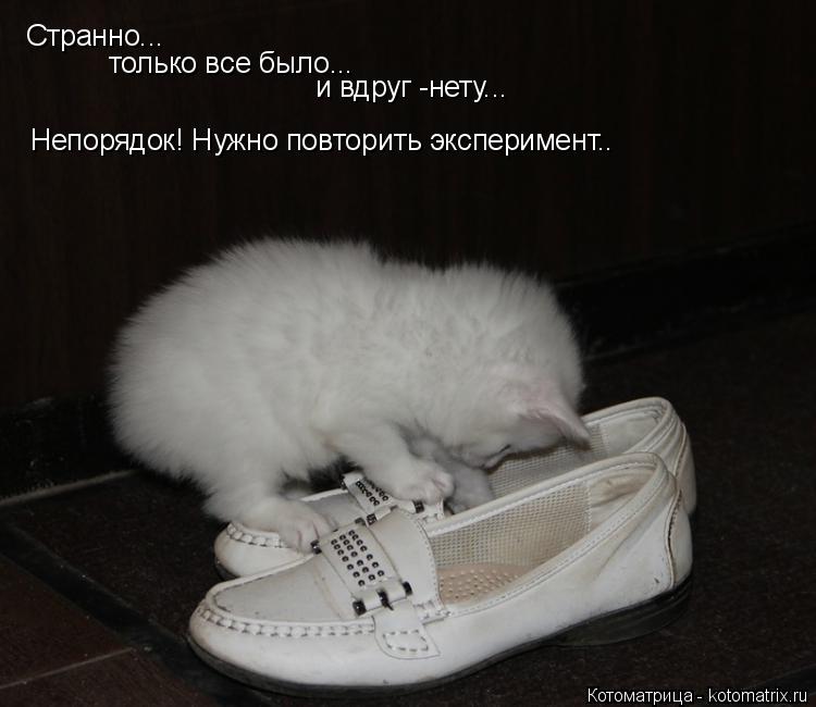 Котоматрица: Странно... только все было... и вдруг -нету... Непорядок! Нужно повторить эксперимент..