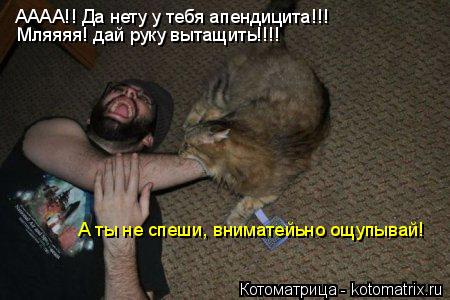 Котоматрица: АААА!! Да нету у тебя апендицита!!! Мляяяя! дай руку вытащить!!!! А ты не спеши, вниматейьно ощупывай!