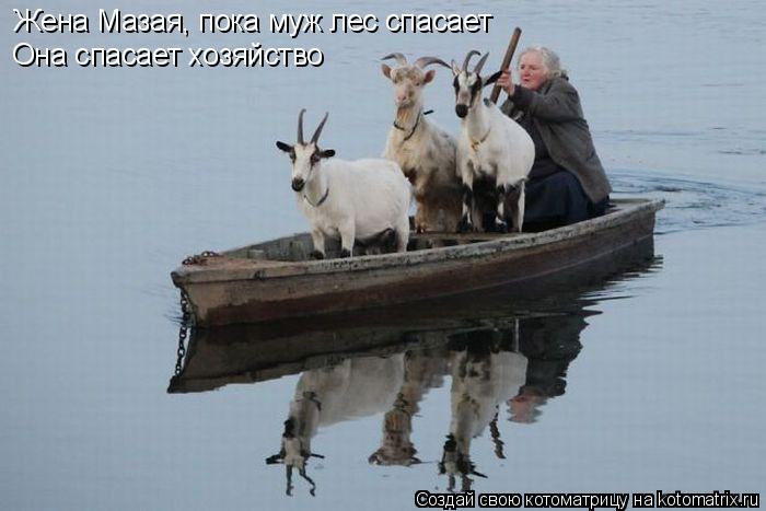 Котоматрица: Жена Мазая, пока муж лес спасает Она спасает хозяйство