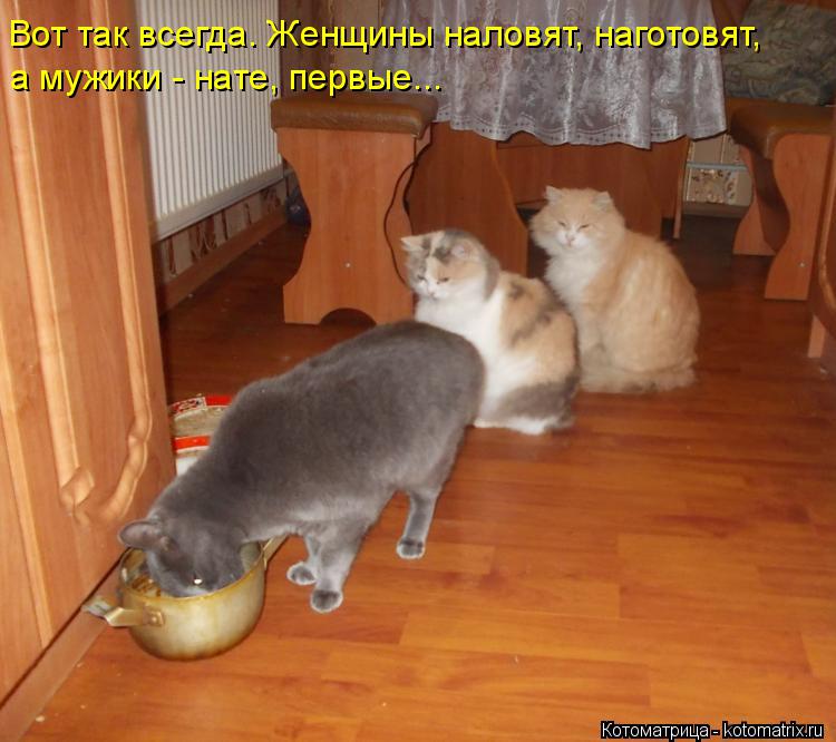 Вот так всегда. Женщины наловят, наготовят, а мужики - нате, первые...... Котоматрица: Вот так всегда. Женщины наловят, наготовят, а мужики - нате, первые...