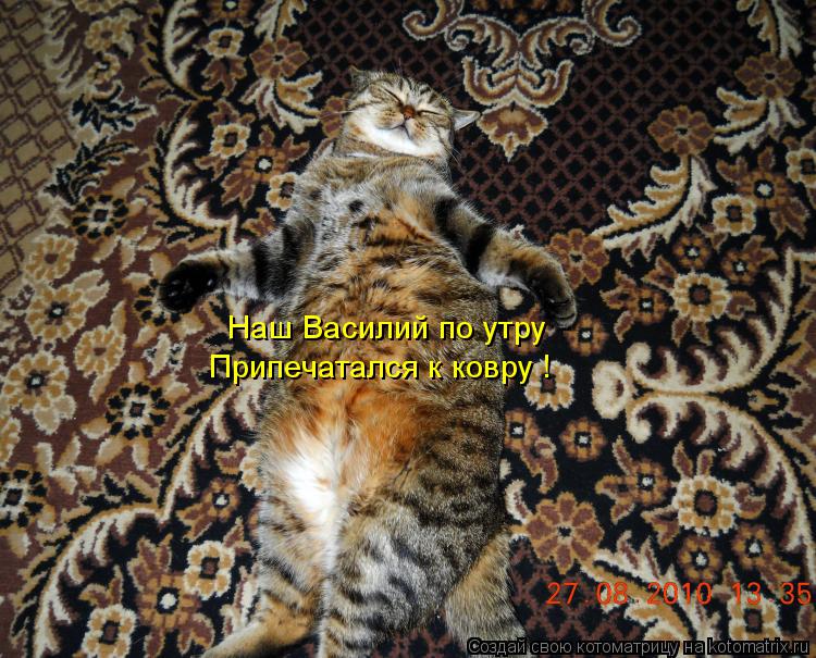 Котоматрица: Наш Василий по утру Припечатался к ковру !