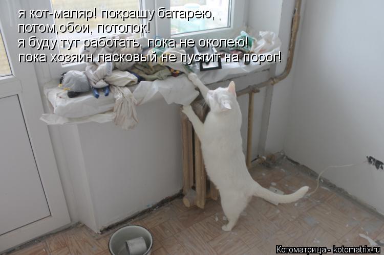 я кот-маляр! покрашу батарею, я кот-маляр! покрашу батарею, потом,обои, потолок! я буду тут работать,... Котоматрица: я кот-маляр! покрашу батарею, я кот-маляр! покрашу батарею, потом,обои, потолок! я буду тут работать, пока не околею! пока хозяин ласковый не п