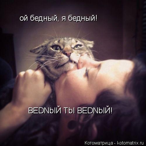 ой бедный, я бедный! BEDNbIЙ TbI BEDNbIЙ!... Котоматрица: ой бедный, я бедный! BEDNbIЙ TbI BEDNbIЙ!