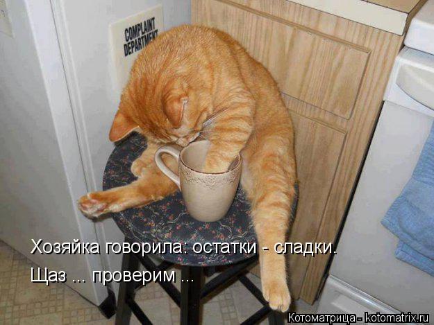 Хозяйка говорила: остатки - сладки. Щаз ... проверим ...... Котоматрица: Хозяйка говорила: остатки - сладки. Щаз ... проверим ...