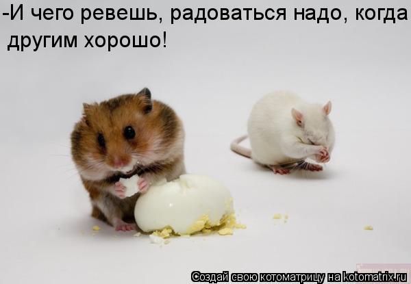 -И чего ревешь, радоваться надо, когда другим хорошо!... Котоматрица: -И чего ревешь, радоваться надо, когда другим хорошо!