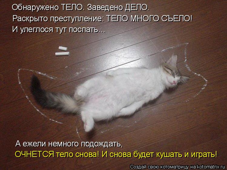 Котоматрица: Обнаружено ТЕЛО. Заведено ДЕЛО. Раскрыто преступление: ТЕЛО МНОГО СЪЕЛО! И улеглося тут поспать…  А ежели немного подождать, ОЧНЕТСЯ тело с