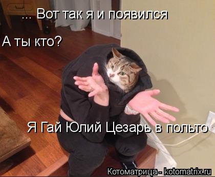 Котоматрица: ... Вот так я и появился А ты кто?  Я Гай Юлий Цезарь в польто