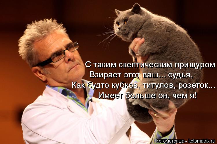 Котоматрица: С таким скептическим прищуром Взирает этот ваш... судья, Как будто кубков, титулов, розеток... Имеет больше он, чем я!