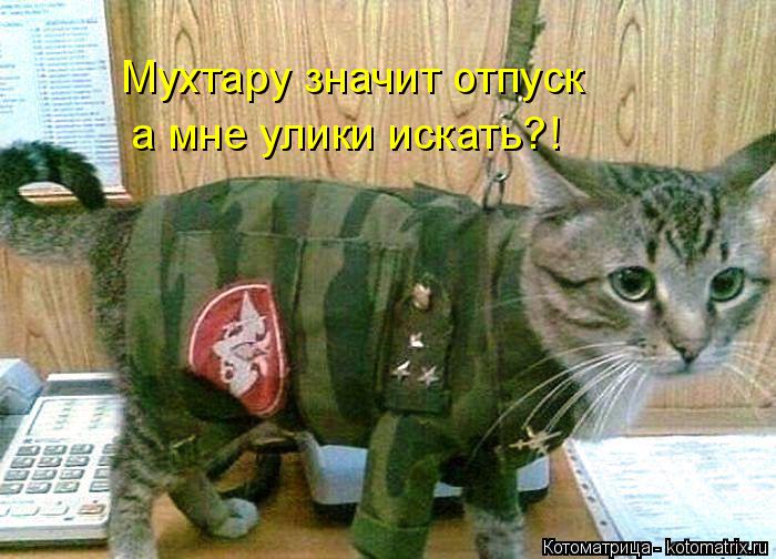 Котоматрица: Мухтару значит отпуск а мне улики искать?!