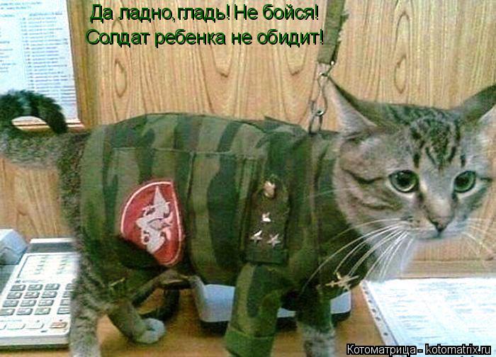 Да ладно,гладь! Не бойся! Солдат ребенка не обидит!... Котоматрица: Да ладно,гладь! Не бойся! Солдат ребенка не обидит!