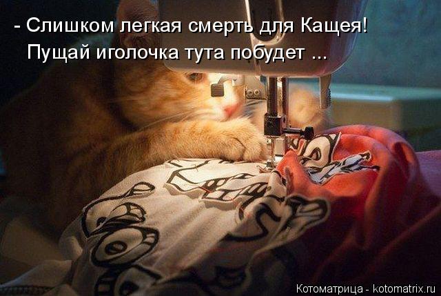- Слишком легкая смерть для Кащея! Пущай иголочка тута побудет ...... Котоматрица: - Слишком легкая смерть для Кащея! Пущай иголочка тута побудет ...