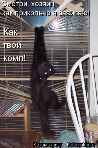Смотри, хозяин, как прикольно я зависаю! Как комп! твой... Котоматрица: Смотри, хозяин, как прикольно я зависаю! Как комп! твой