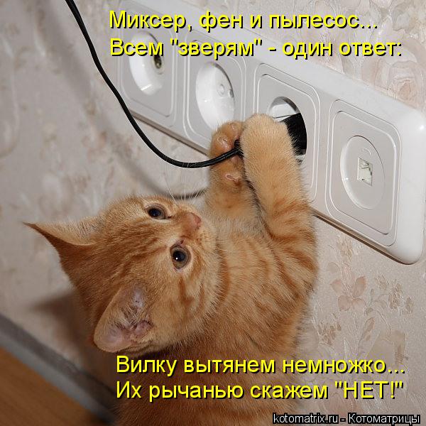 Котоматрица: Миксер, фен и пылесос... Всем "зверям" - один ответ: Вилку вытянем немножко... Их рычанью скажем "НЕТ!"