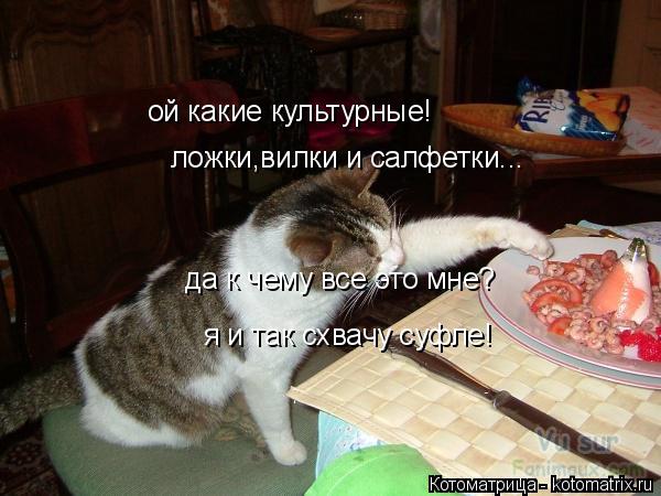 ой какие культурные! ложки,вилки и салфетки... да к чему все это мне? я и так схвачу суфле!... Котоматрица: ой какие культурные! ложки,вилки и салфетки... да к чему все это мне? я и так схвачу суфле!