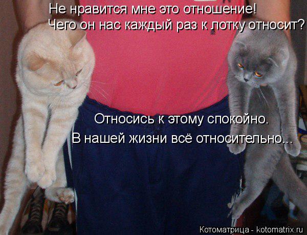 Не нравится мне это отношение! Чего он нас каждый раз к лотку относит? Относись к этому спокойно. В н... Котоматрица: Не нравится мне это отношение! Чего он нас каждый раз к лотку относит? Относись к этому спокойно. В нашей жизни всё относительно...